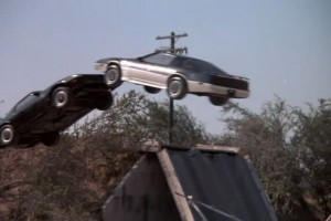 Kara Şimşek Fotoğrafı