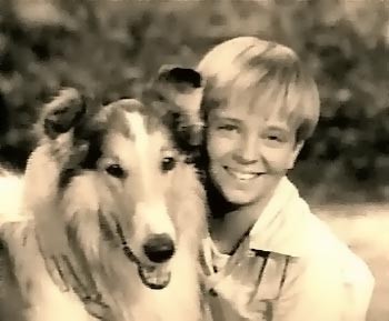 Lassie Fotoğrafı