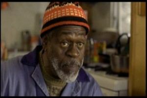 Kar Köpekleri Fotoğrafı