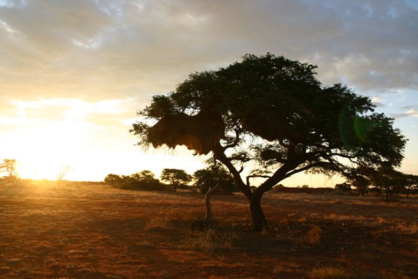 Mirket Ailesi Fotoğrafı