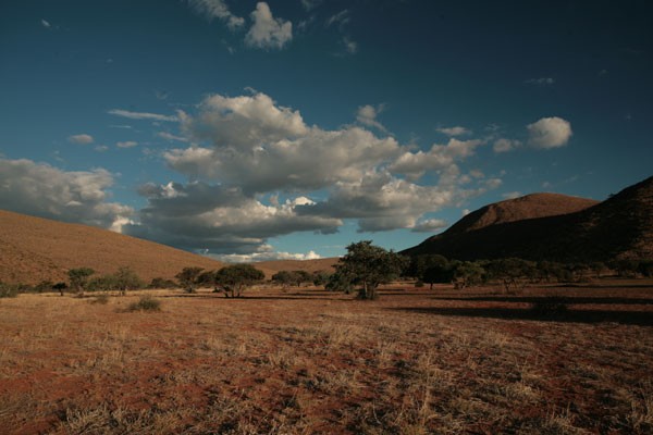 Mirket Ailesi Fotoğrafı