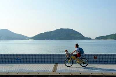 Boku To Mama No Kiiroi Jitensha Fotoğrafı