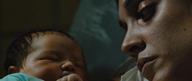 Aslan İni Fotoğrafı