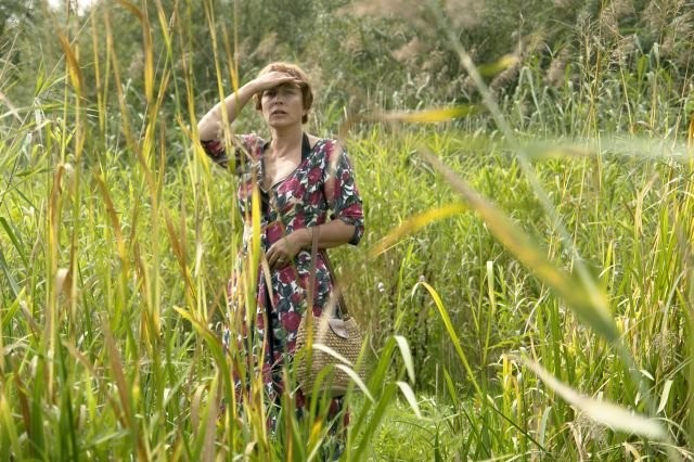 Sazlıkta fotoğrafı