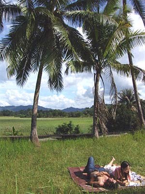 Harika Şehir Fotoğrafı