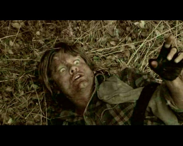 Haunted Forest Fotoğrafı