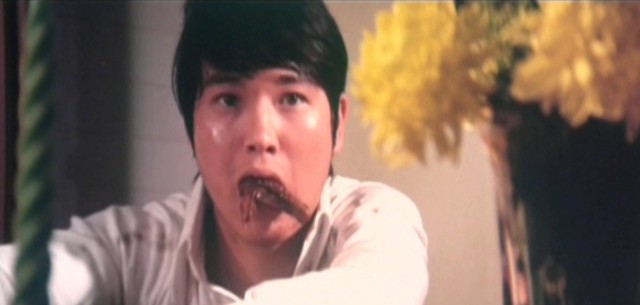 Acemi çaylak fotoğrafı