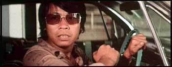 Acemi çaylak fotoğrafı