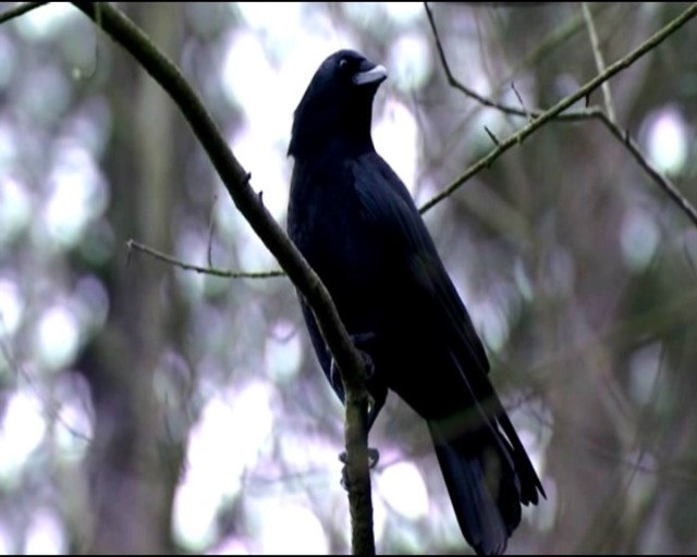 Şeytanın Bölgesi Fotoğrafı