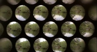 Empire Of The Ants fotoğrafı