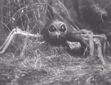 Örümcek Adasının Dehşeti Fotoğrafı