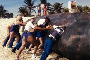 Reno 911!: Miami Fotoğrafı