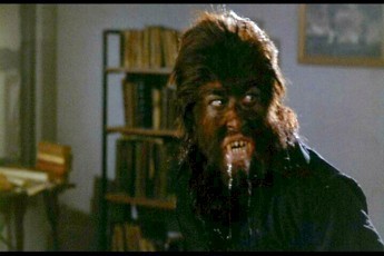 Werewolf Shadow Fotoğrafı