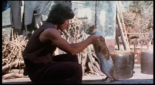 Kartalın Gölgesi Fotoğrafı