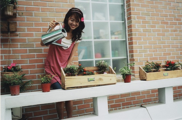 A Lovers Concerto Fotoğrafı