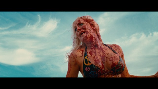 Pirana 3D Fotoğrafı