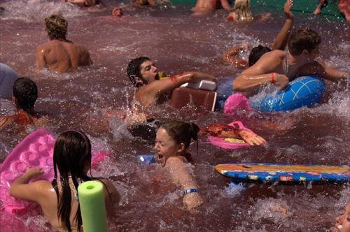 Pirana 3D Fotoğrafı