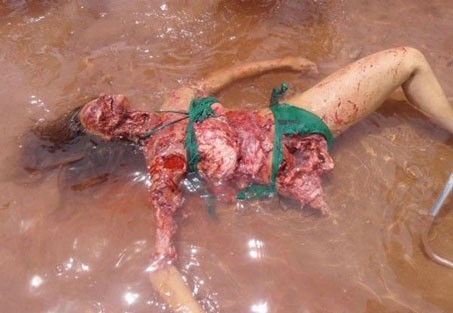 Pirana 3D Fotoğrafı