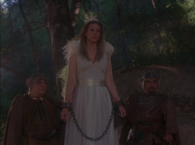 A Light ın The Forest Fotoğrafı