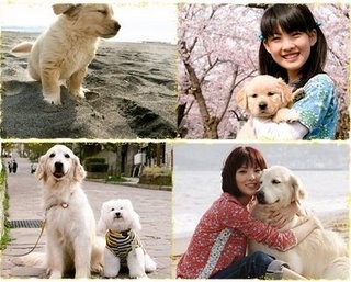 10 Promises To My Dog Fotoğrafı