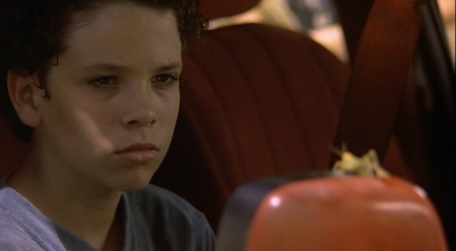 Mısır Tarlası çocukları 4 Fotoğrafı