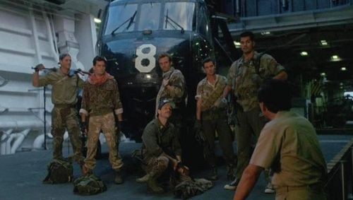 Donanma Kaplanları Fotoğrafı