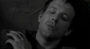 Siyam Balığı Fotoğrafı