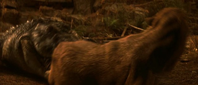 Kara Göl Fotoğrafı