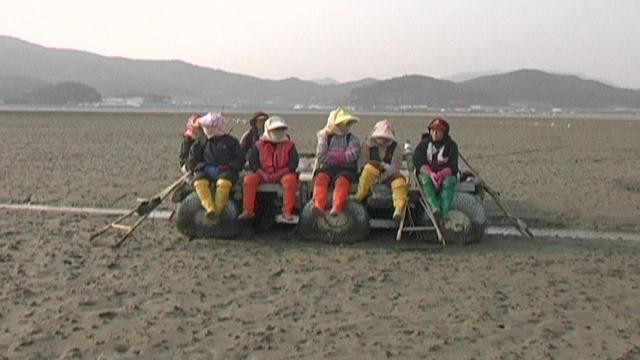 To Live - Save Our Saemankum Fotoğrafı