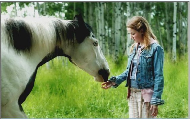Moondance Alexander fotoğrafı
