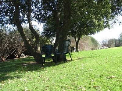 Tanık Yok Fotoğrafı