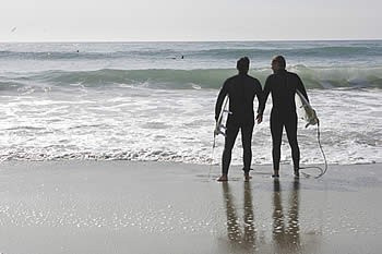 Barınak Fotoğrafı