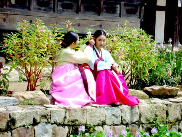 The Land Fotoğrafı