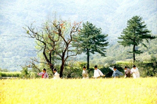 The Land Fotoğrafı