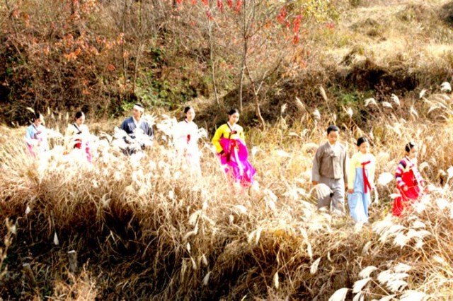 The Land Fotoğrafı