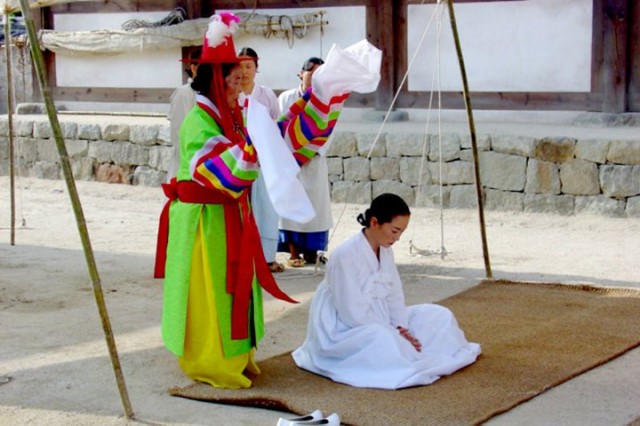 The Land Fotoğrafı