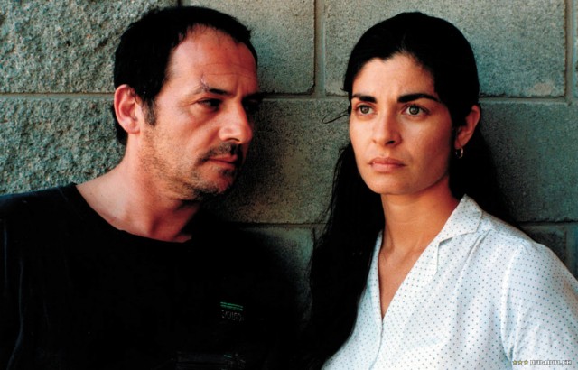 Red Bear Fotoğrafı