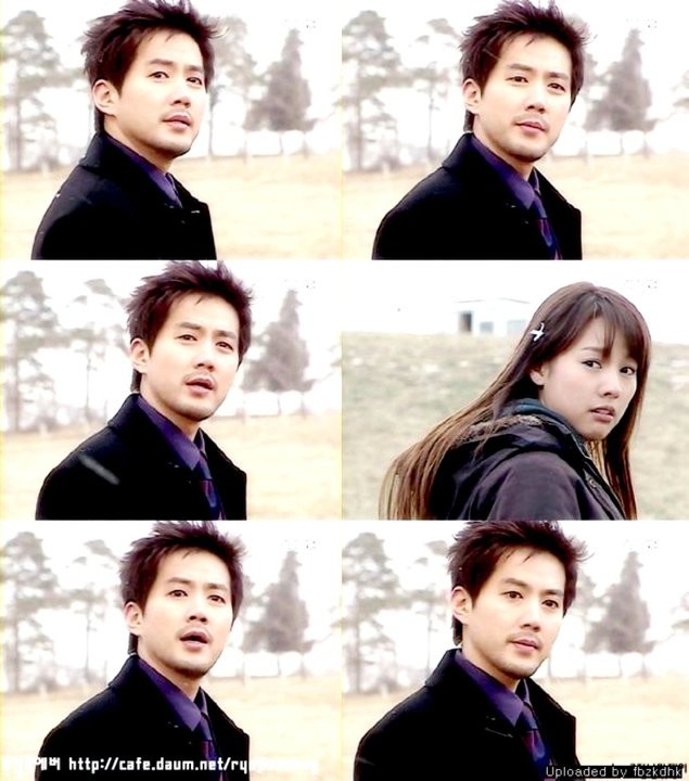 Three Leaf Clover Fotoğrafı