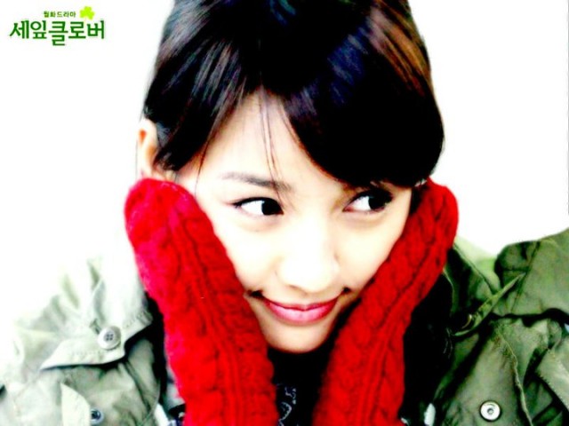 Three Leaf Clover Fotoğrafı