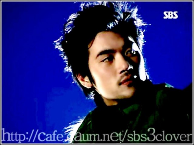 Three Leaf Clover Fotoğrafı