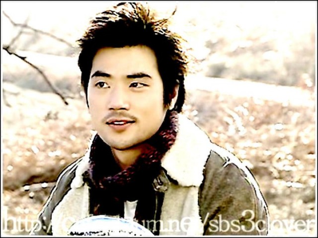 Three Leaf Clover Fotoğrafı