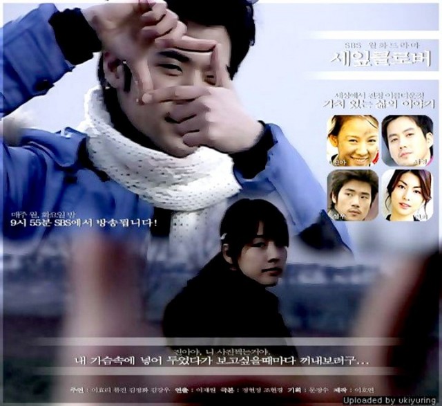 Three Leaf Clover Fotoğrafı