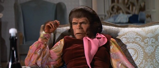 Maymunlar Cehenneminden Kaçış Fotoğrafı