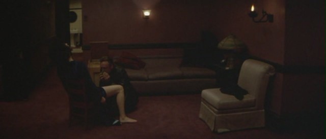 Mavi Kadife Fotoğrafı