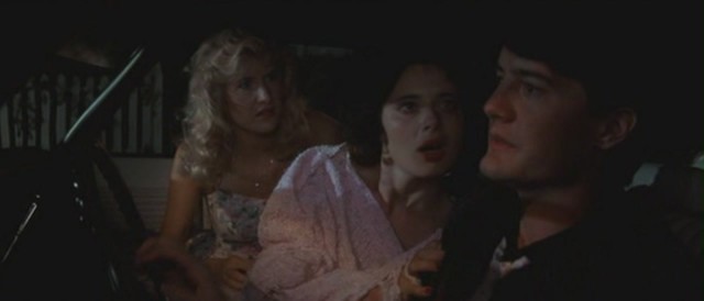 Mavi Kadife Fotoğrafı