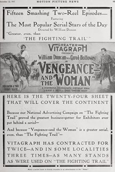 Vengeance - And The Woman (1917) afişi