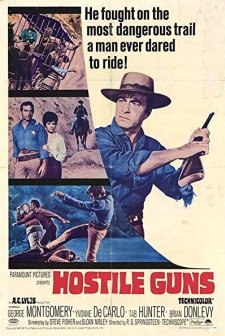 Hostile Guns (1967) afişi