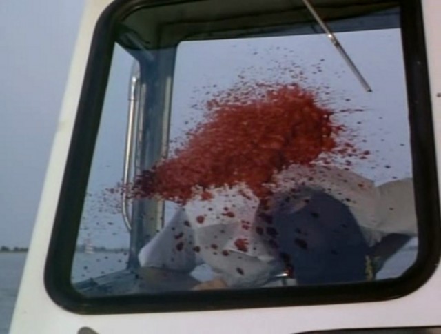 Kuşlar 2 fotoğrafı