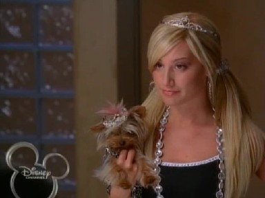 High School Musical 2 Fotoğrafı