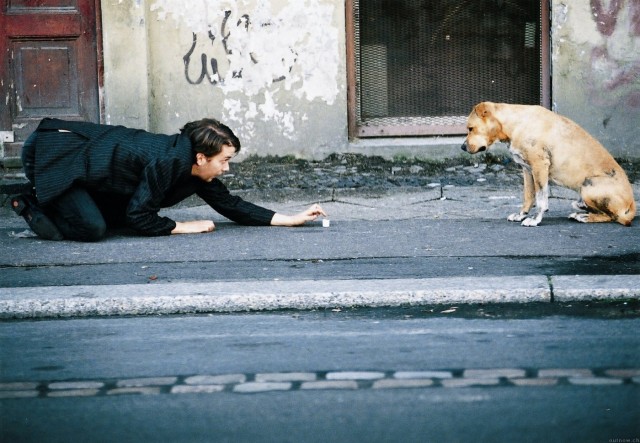 Herr Lehmann Fotoğrafı